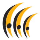 Sydney Hills Gymnastics logo
